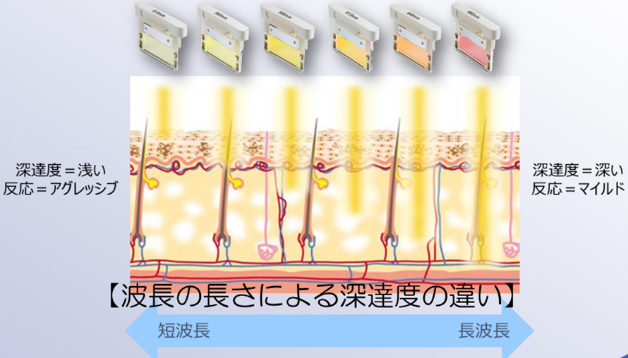 波長による深達度の違い